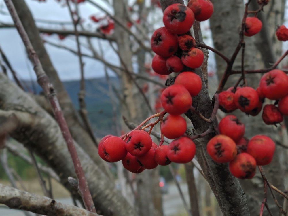 Photograph by Наиль Шакиров