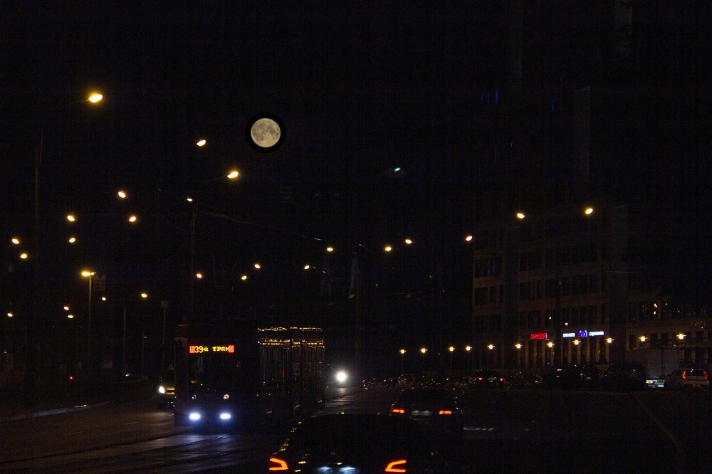 Photograph by Sergey Pavlov