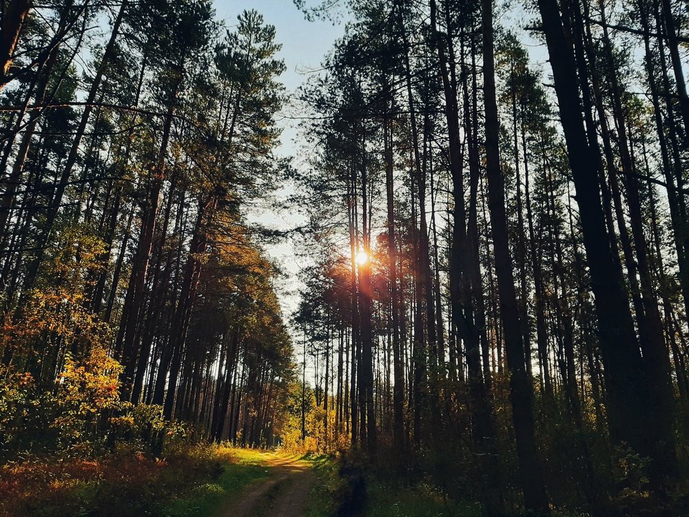 Photograph by Дмитрий