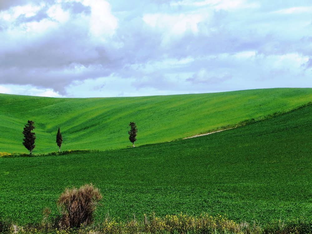 The green hills of Matera