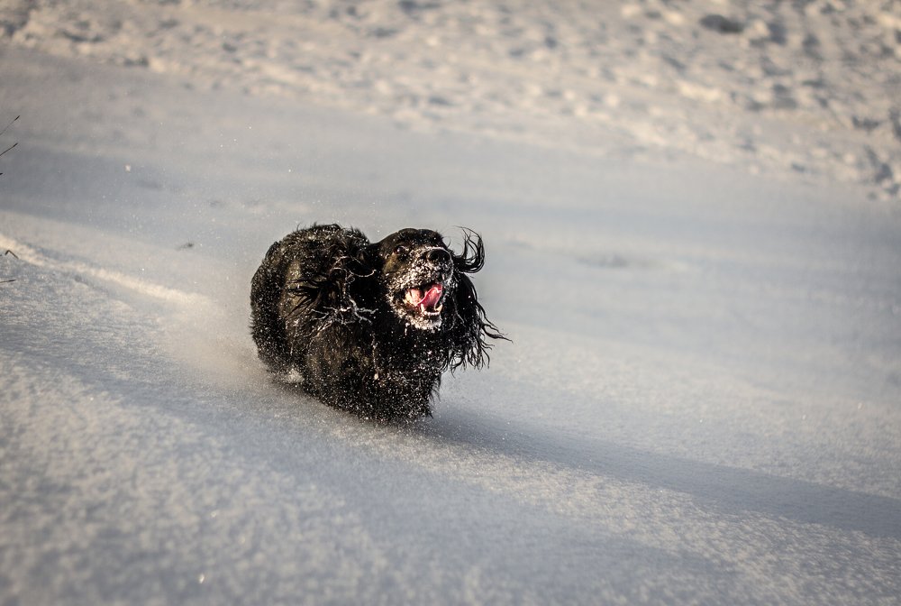 Photograph by Васенин Павел