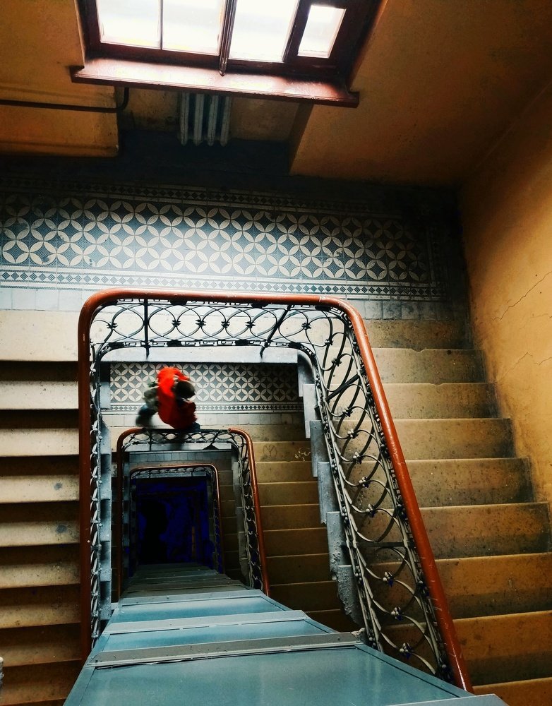 Фотография автора Зоя Малхова