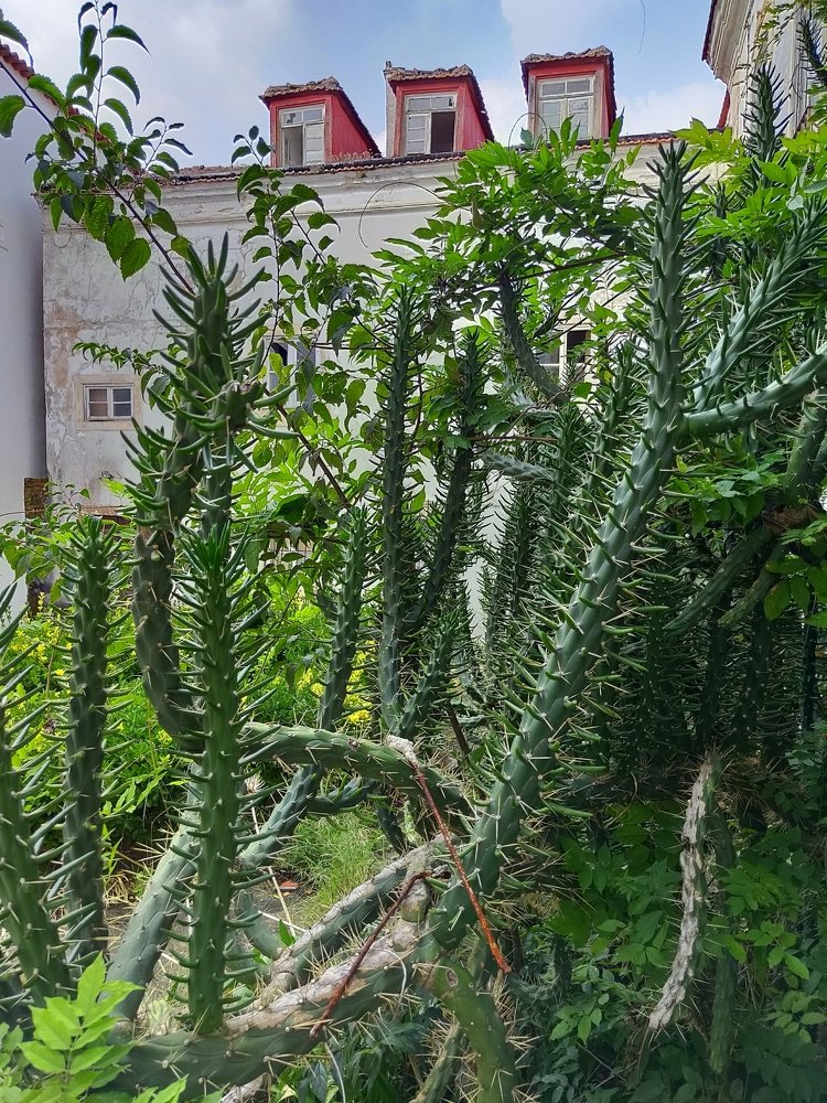 Photograph by Дмитрий