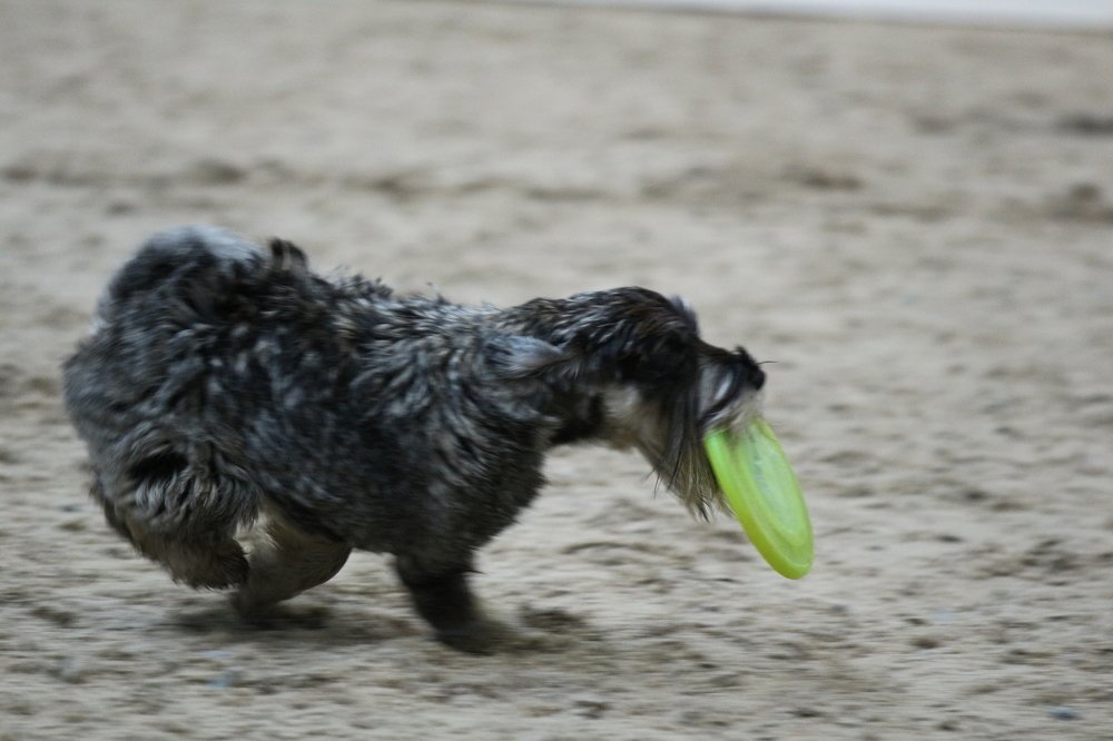 Photograph by Валерий Козуб