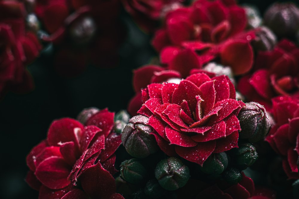 Photograph by Тимофей