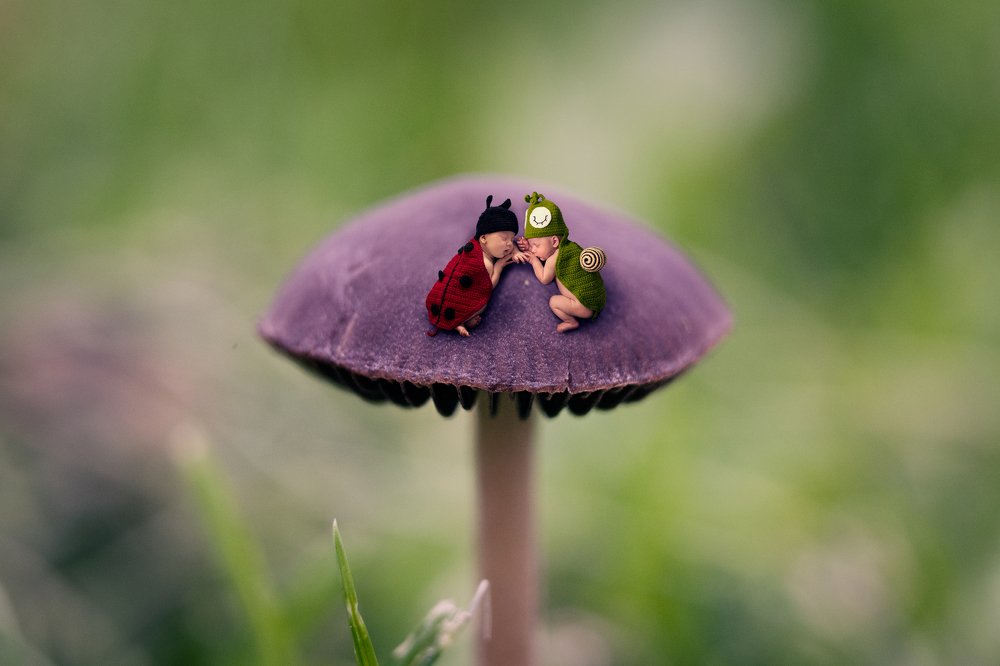 Photograph by Malgorzata Pomietlo