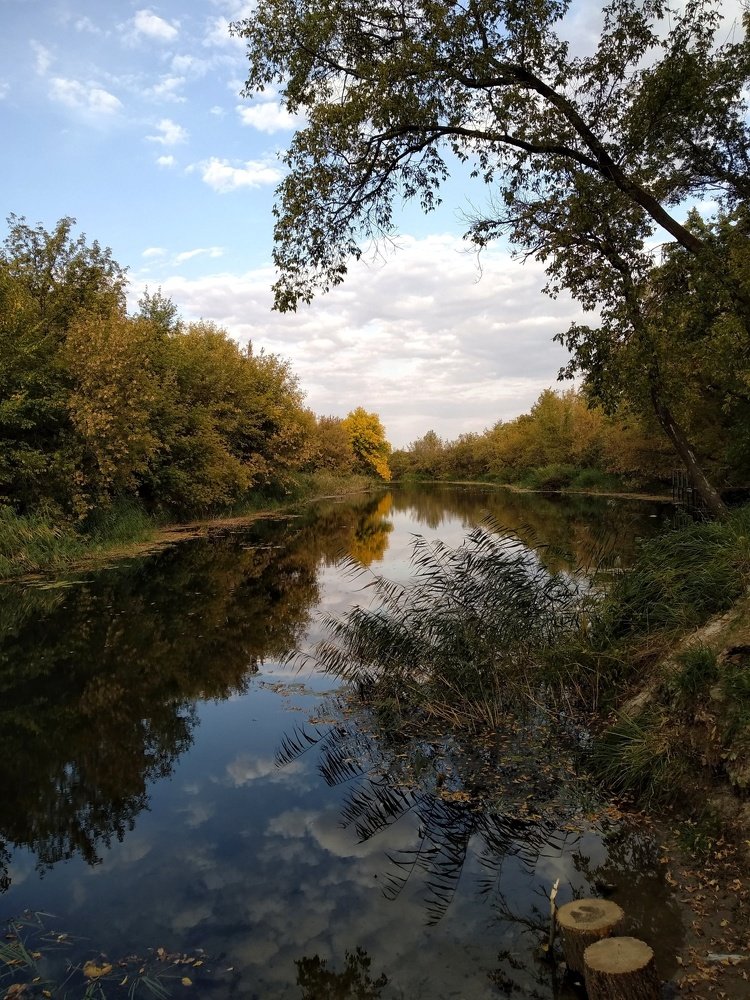 Photograph by Людмила М