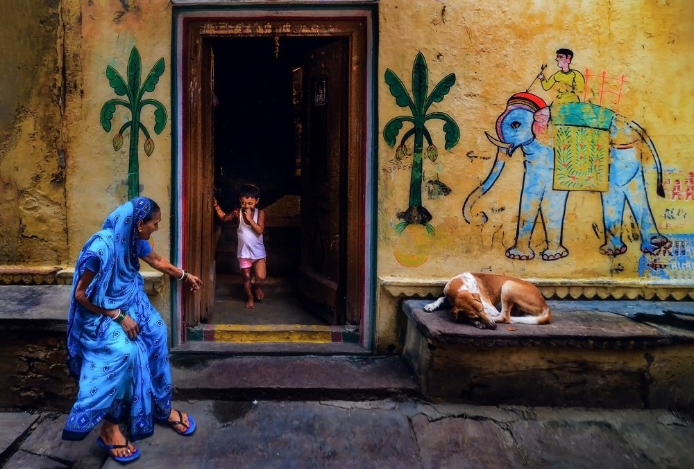 Photograph by avik saha