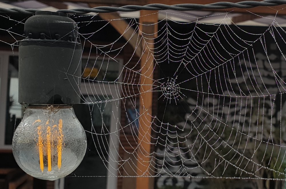 Фотография автора Igor Dyomin