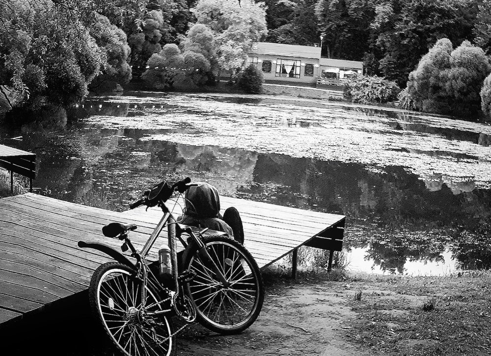 Photograph by Алина Веремеенко