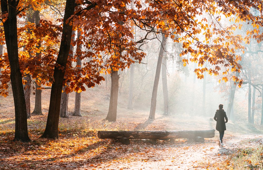 Photograph by Дмитрий Ярошевский