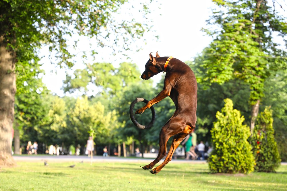 Photograph by Ольга Галецкая