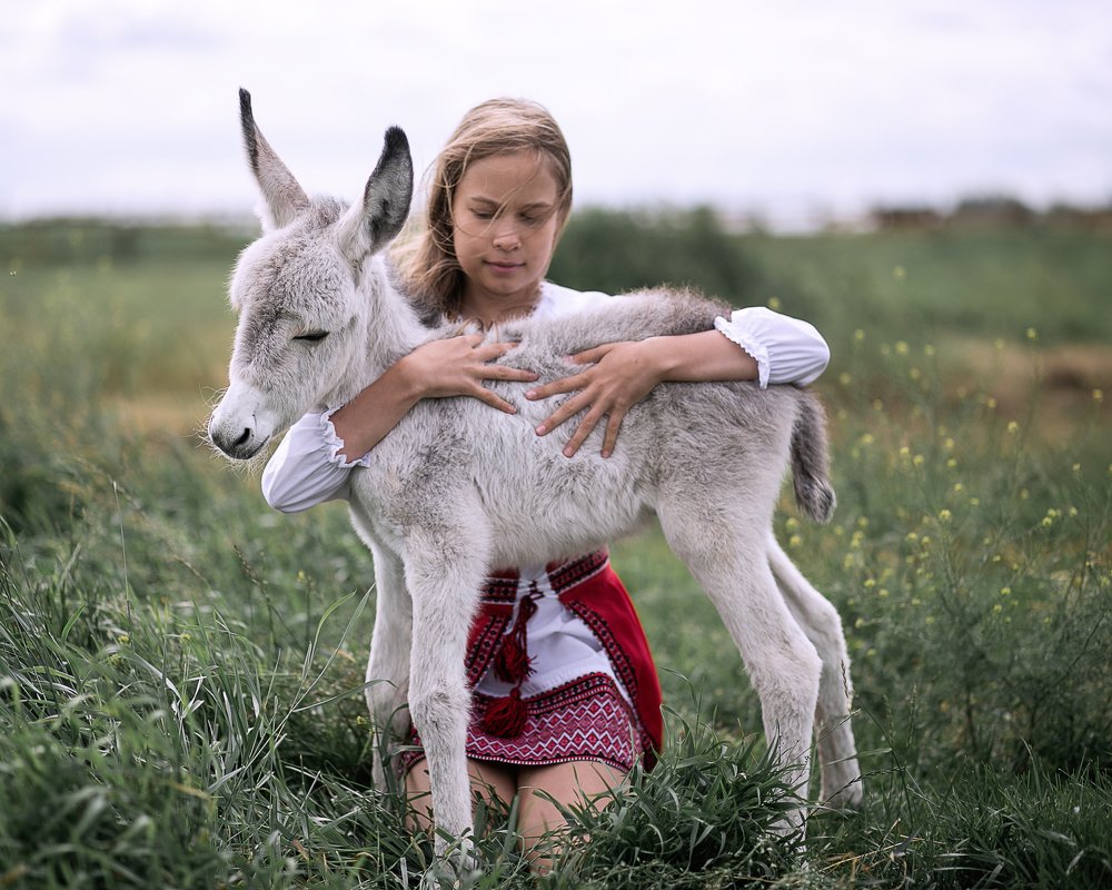 Фотография автора Ольга Матусевич