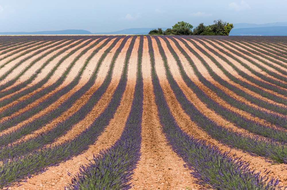 Photograph by Larisa Cekanaviсa