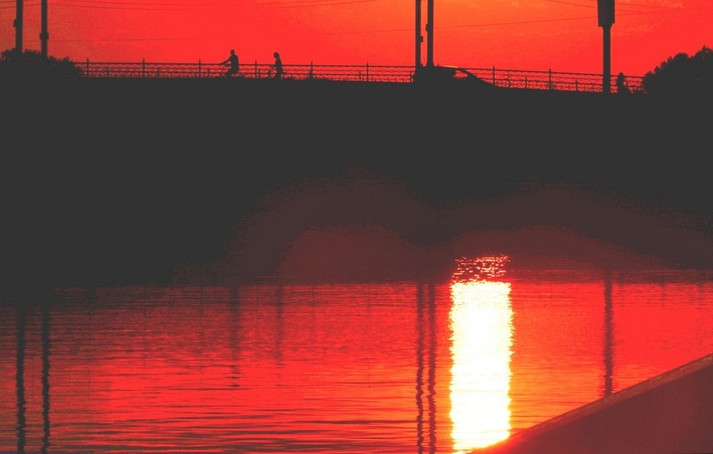 Photograph by Диана Арье