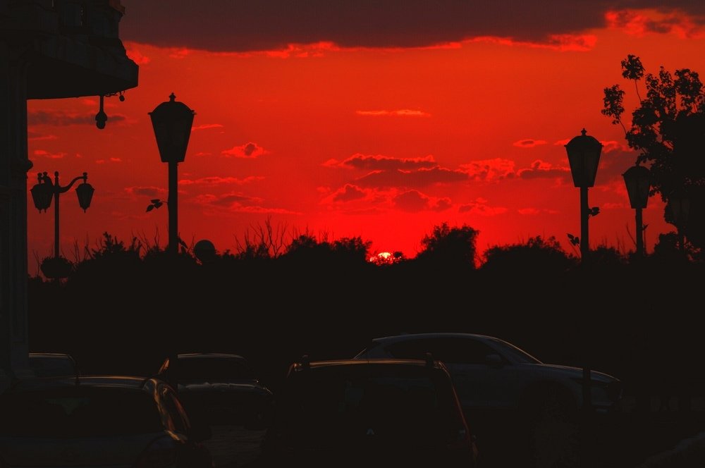 Photograph by Диана Арье