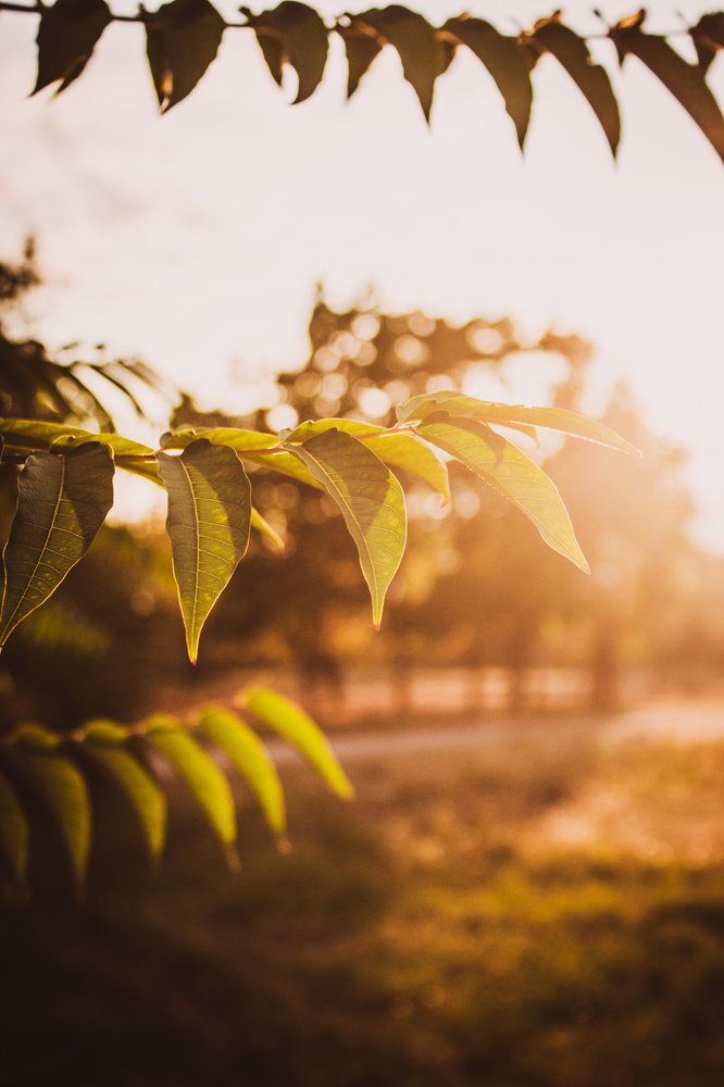 Photograph by Bogdan Reshetylo