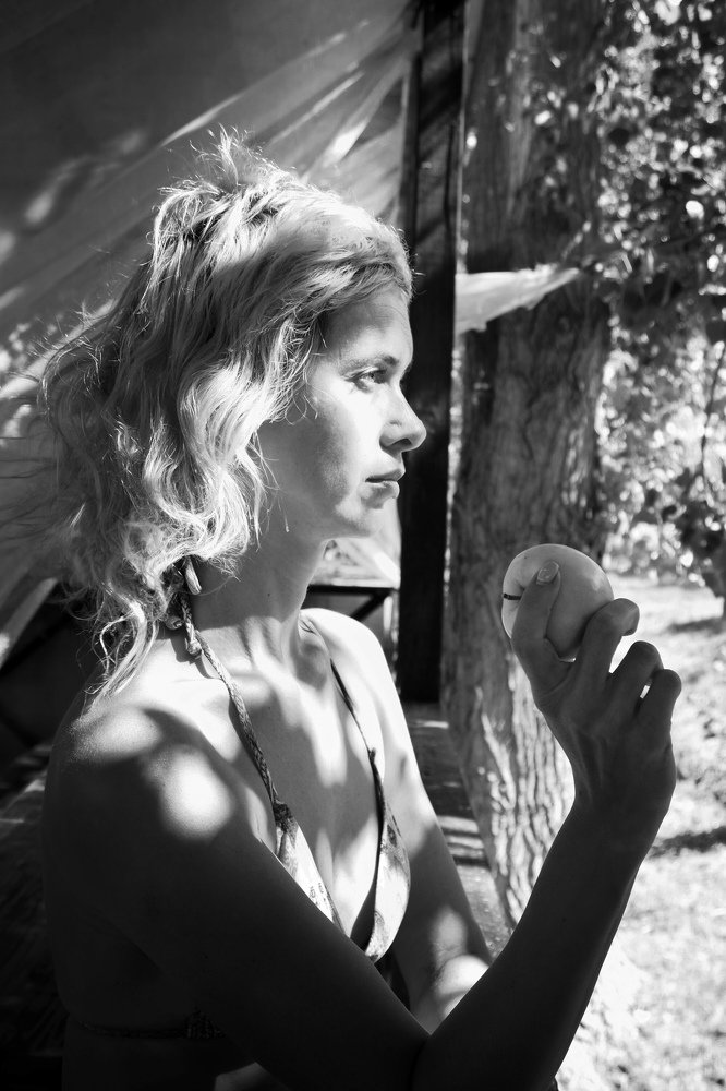 Photograph by Диана Арье