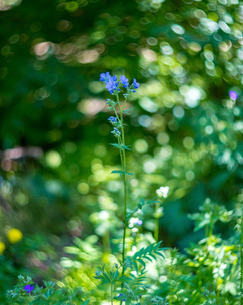 Photograph by Мария Жданова