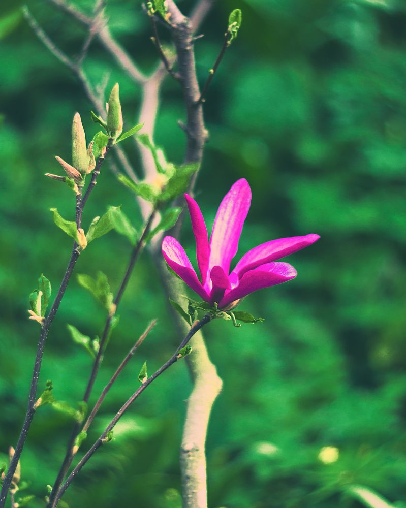 Photograph by Мария Жданова