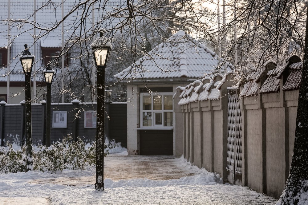 Photograph by Larisa Cekanaviсa