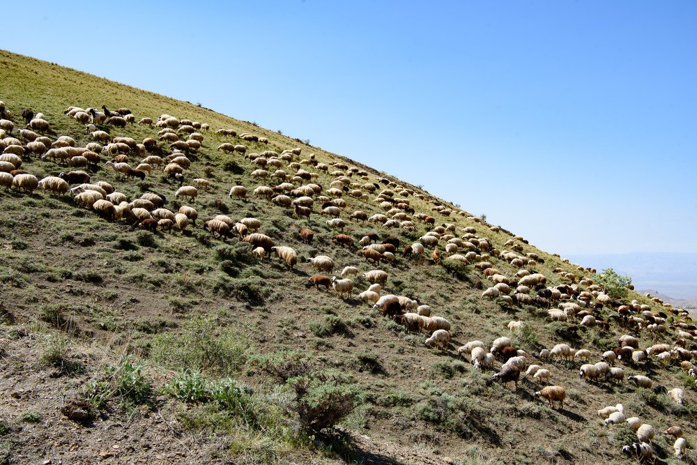 Photograph by Галина Баранова