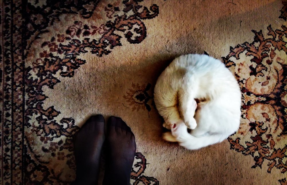 Photograph by Диана Арье