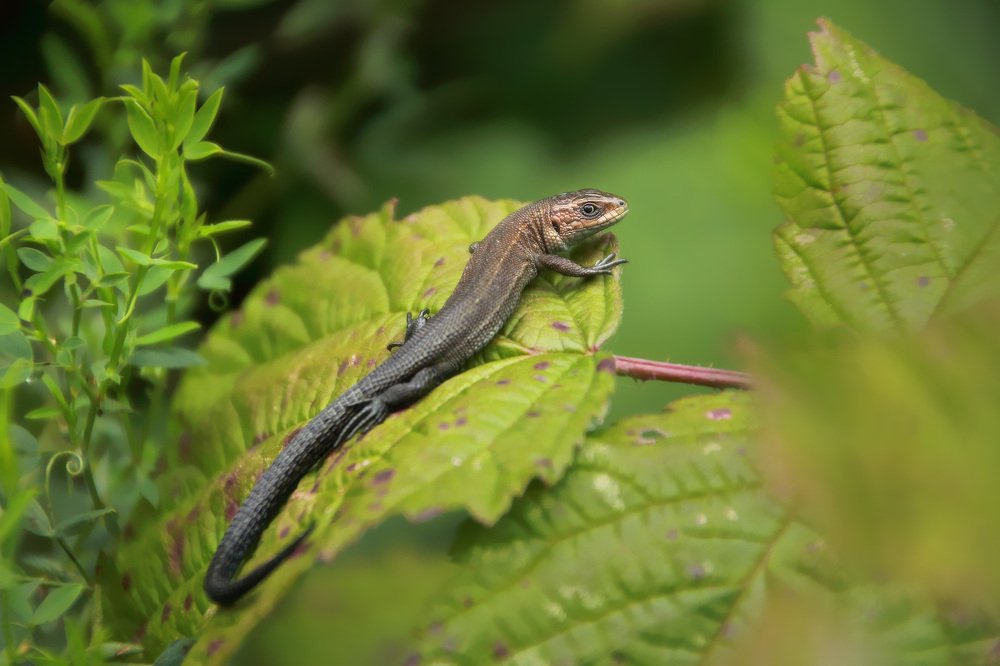 Photograph by Владимир Петрукович