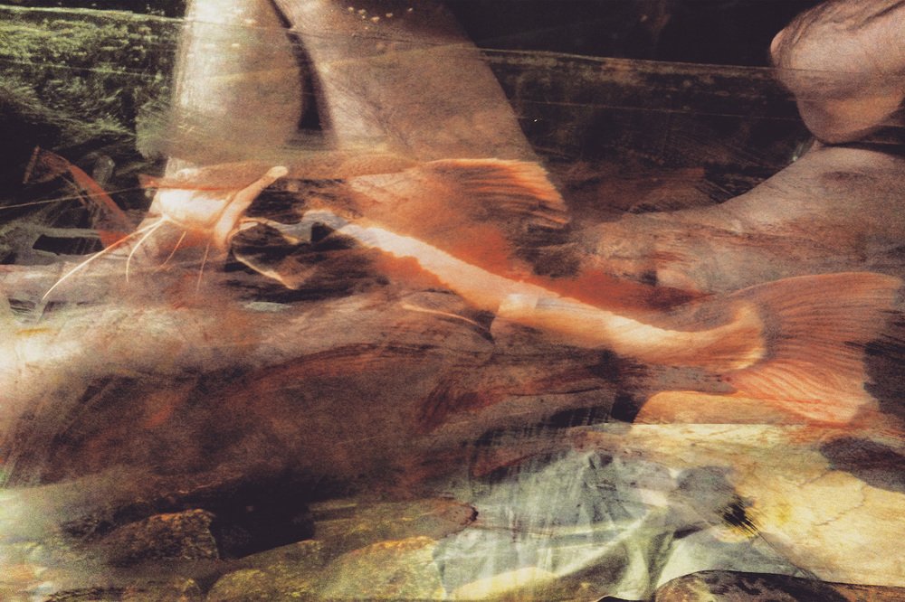 Photograph by Виктория Лихолет