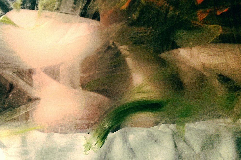 Photograph by Виктория Лихолет