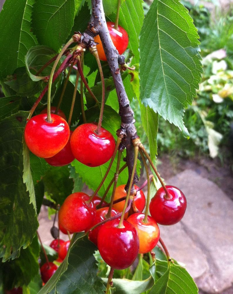 Photograph by Нина