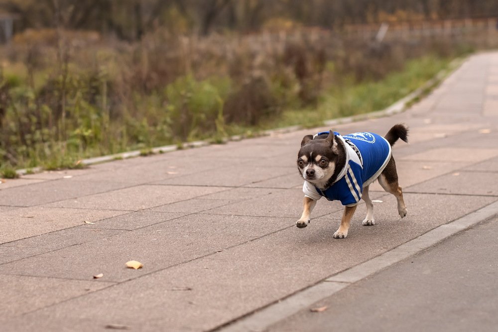 Photograph by Валентина Рязанцева