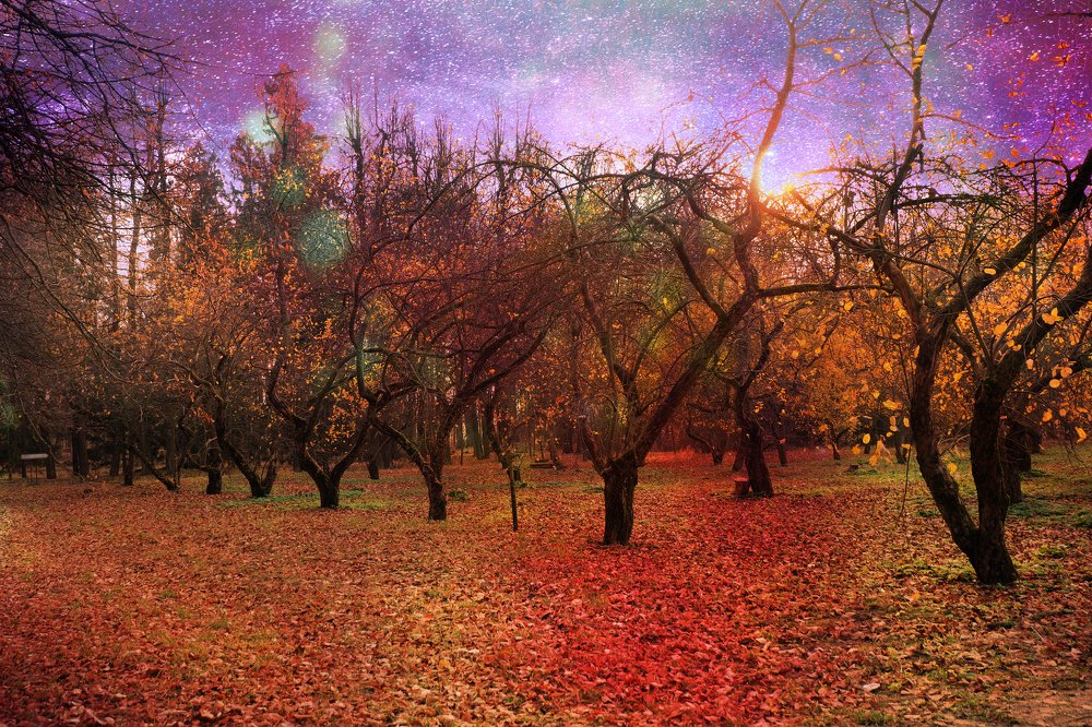 The colors of autumn