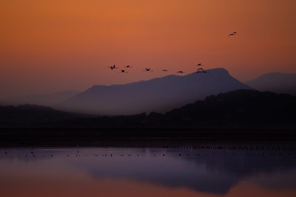 Photograph by Isabelle Campos