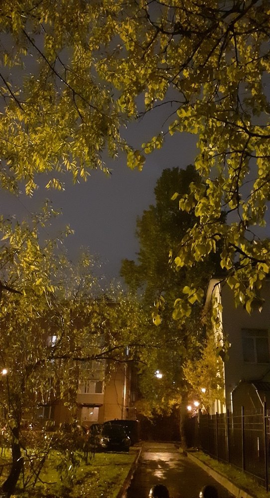 Photograph by Любовь Макарова