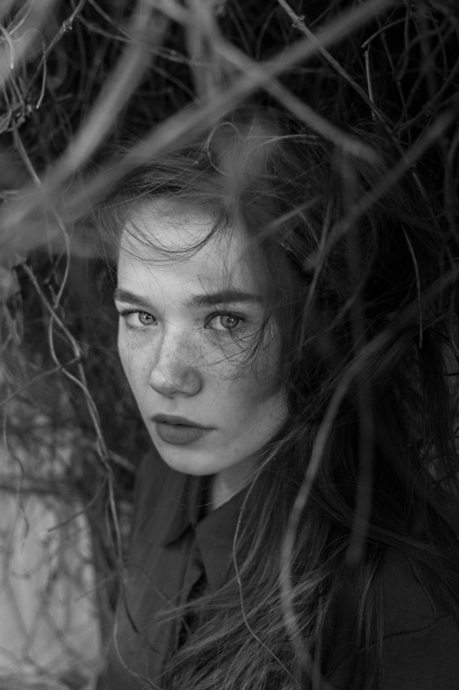 Photo #3763613