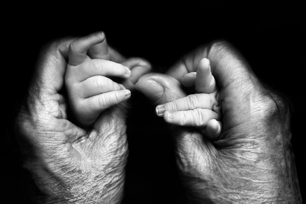 Photograph by Елена Зуйкова