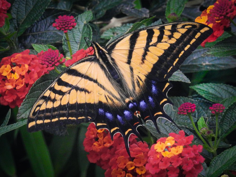 Фотография автора Gabriela Bonilla