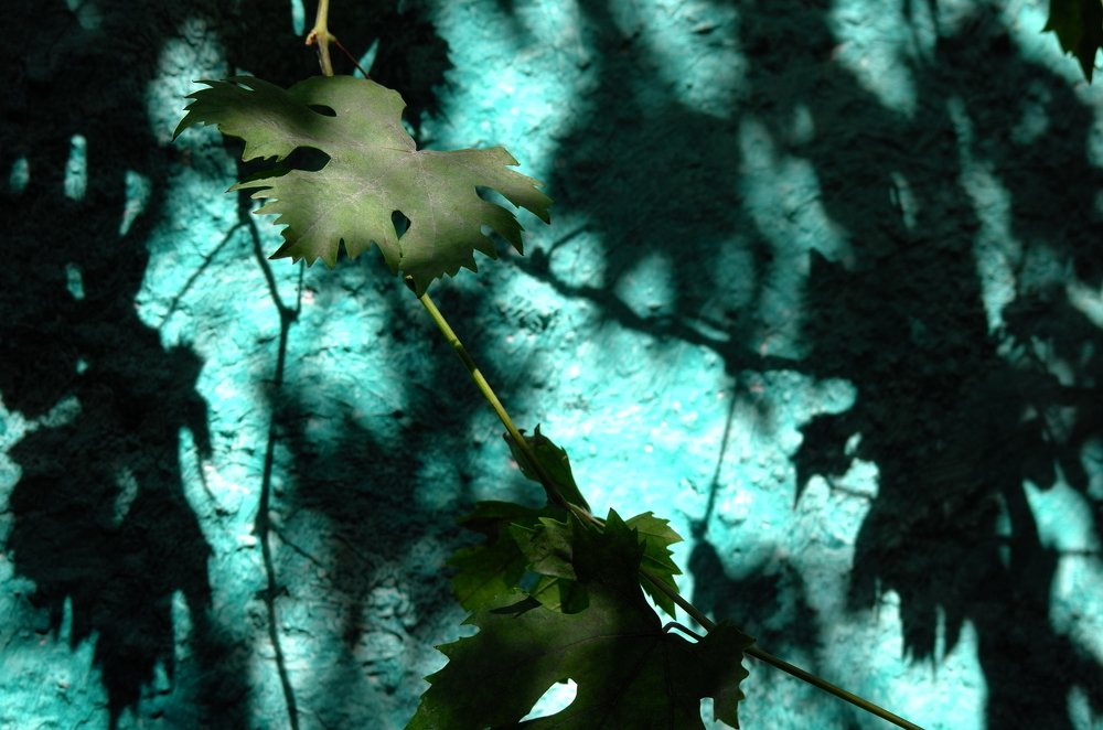 Photo #3763736