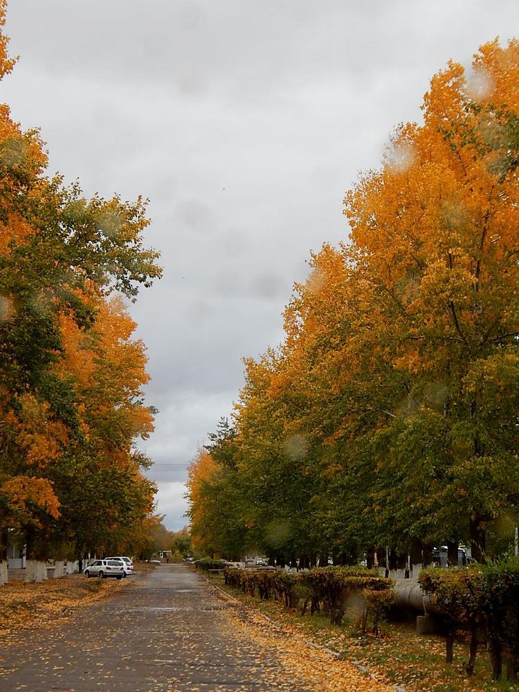 Осеннее золото