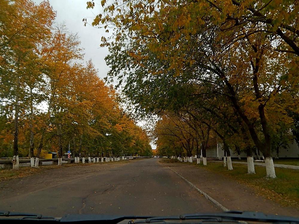 Тишина осени