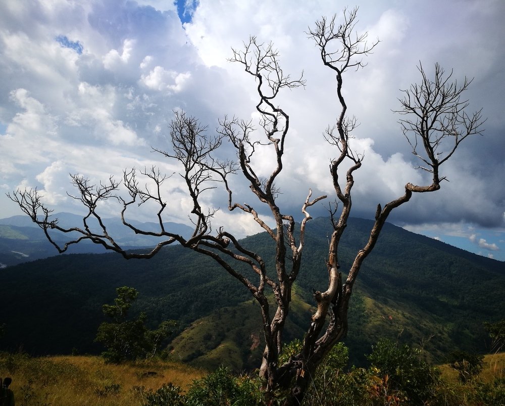 Photograph by Jerick Mego