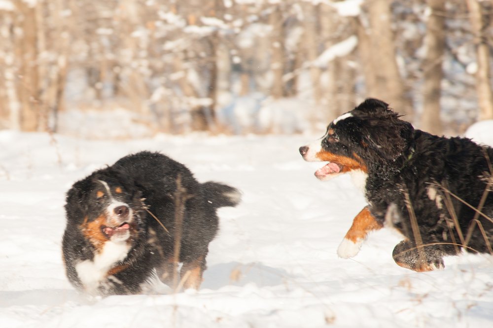 Photograph by Вячеслав Фомин