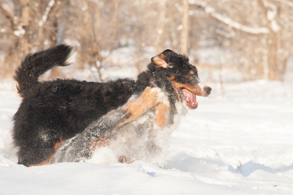 Photograph by Вячеслав Фомин