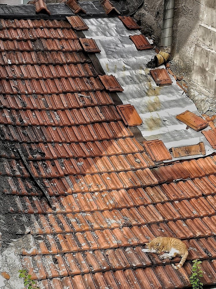 Photograph by Ирина Секачева