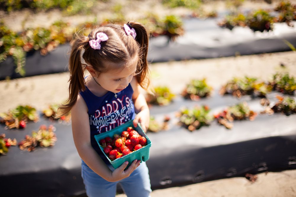 Фотография автора Lana Dee