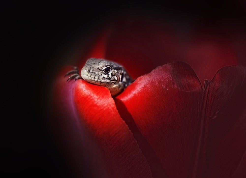 Photograph by Лапшина Владлена