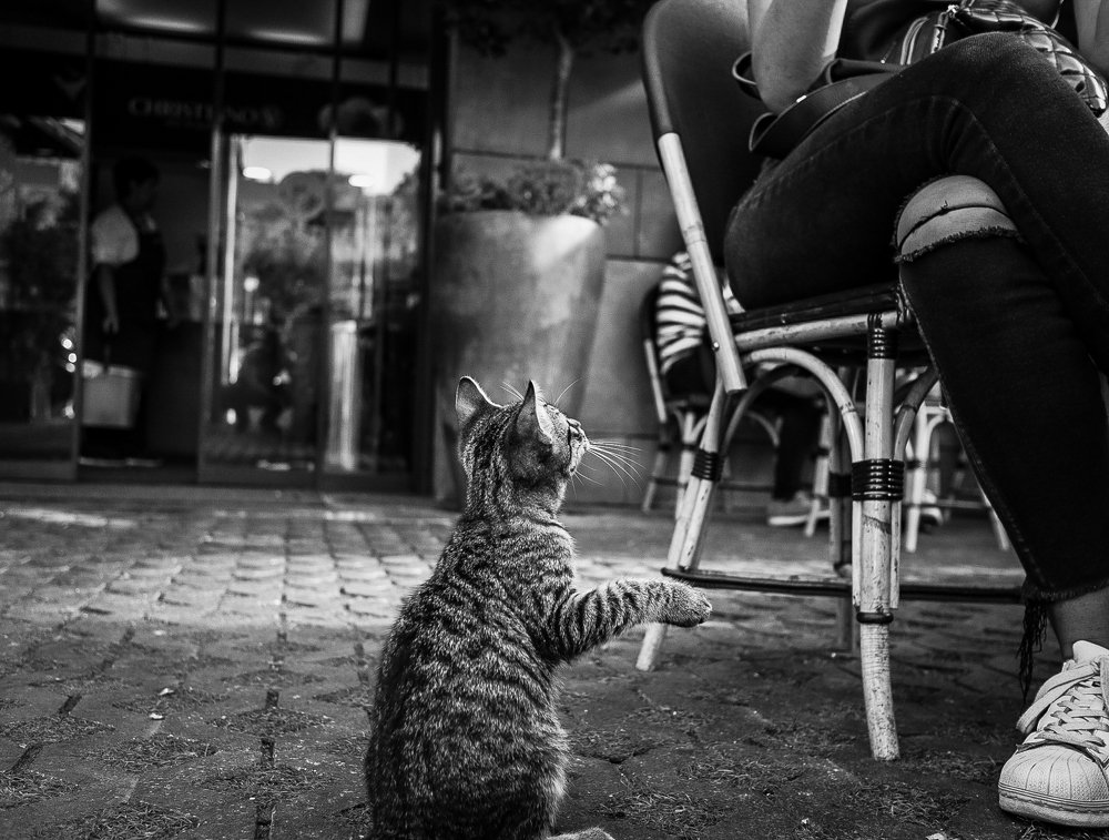 Photograph by Георгий Акопджанов