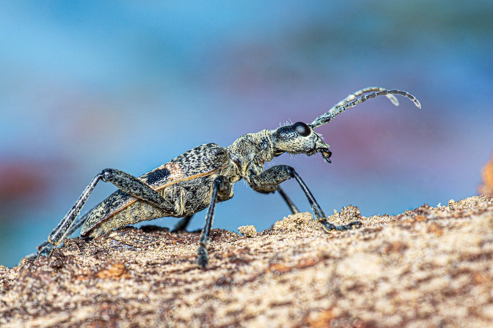 Photograph by Евгений Березин