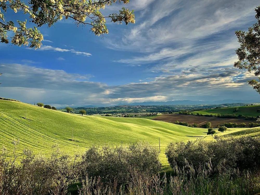 Photograph by Марина Неберекутина